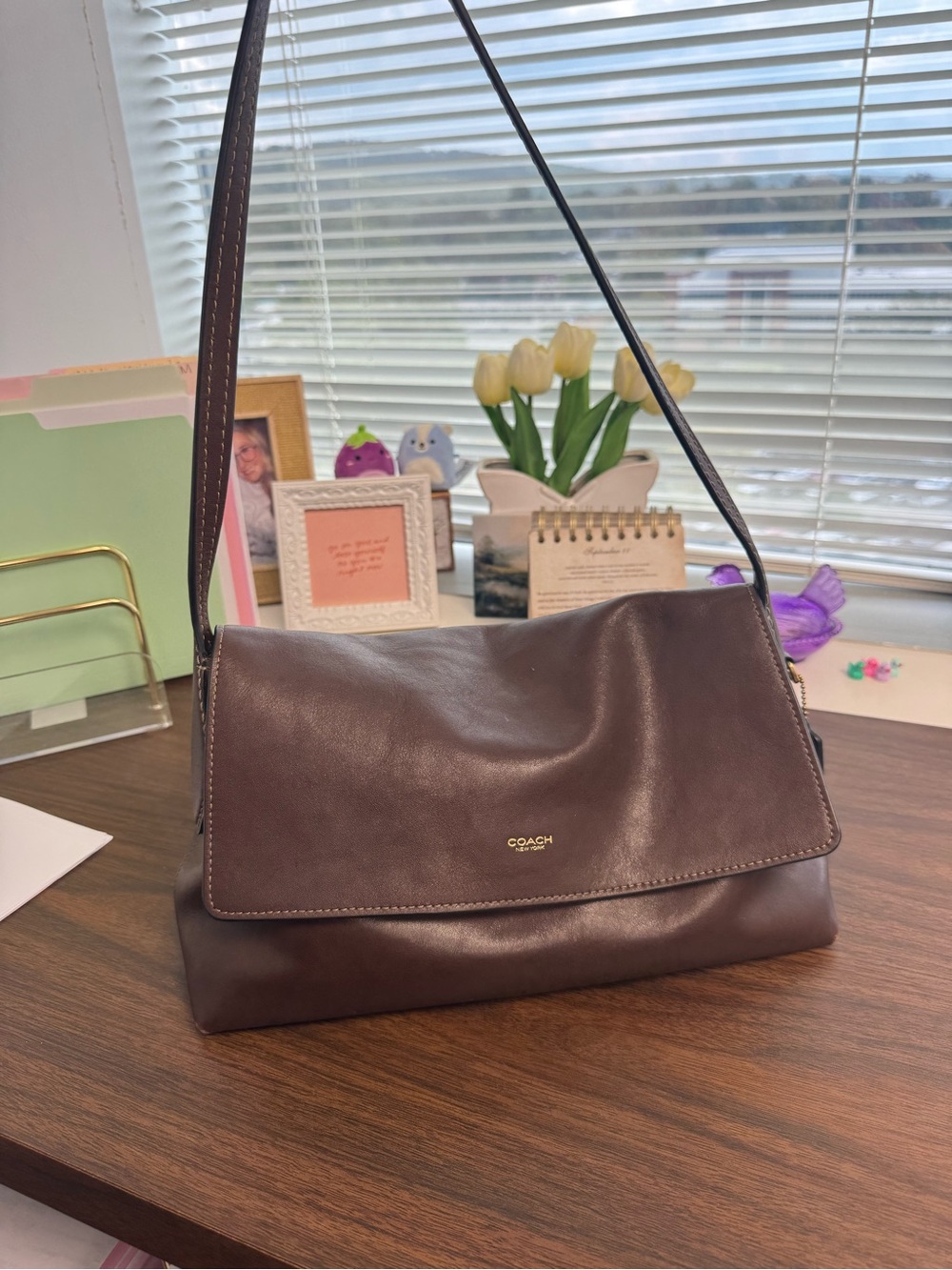 Coach Dark Brown Leather Shoulder Bag with Gold Logo